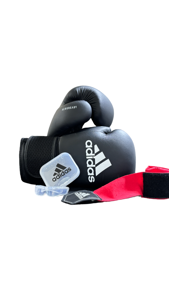 HYBRID 25 BOXING GLOVES