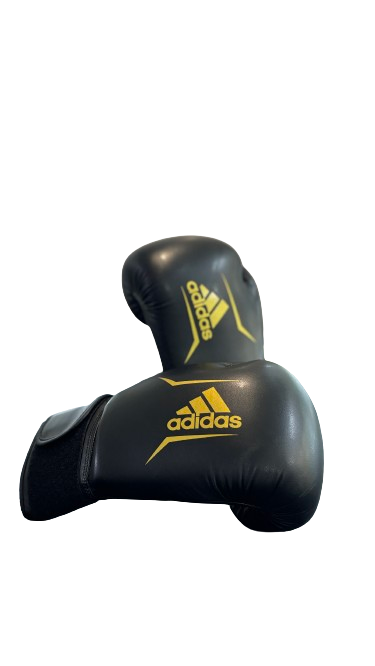 BOXING GLOVES SPEED 50